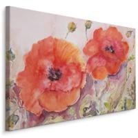 Schilderij - Geschilderde Klaprozen , Print op canvas , Wanddecoratie , Premium print - thumbnail