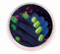 CLEMENTONI - Mijn nagellaboratorium - thumbnail