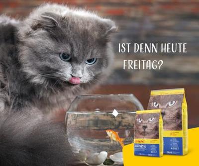 JOSERA Marinesse (1 x 2 kg) | zalm, aardappel en erwt als geselecteerde eiwitbron | voor veeleisende katten | hypoallergeen kattenvoer | Super Premium droogvoer