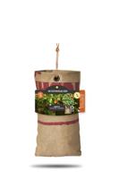 Baza hangtuintje bio Oost-Indische kers - thumbnail