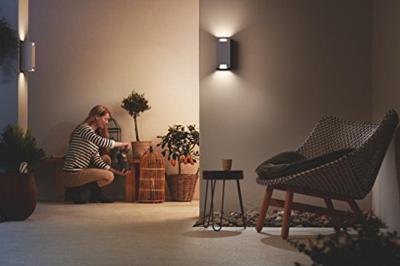 Wandlamp trowel antraciet led 2x5w Philips - Philips Wandlamp trowel antraciet led 2x5w Philips - Philips