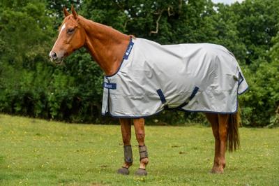 Bucas Sun Shower deken zilver maat:205