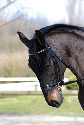 Stubben trens Golden Wings maat:13,5