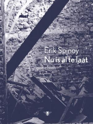 Nu is al te laat (Paperback)