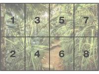 Komar fotobehang jungle trail 368x254 cm - thumbnail