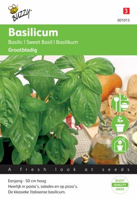 Basilicum Grootbladig