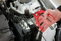 Buisbuiger Vigor V1782 - thumbnail