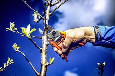 Original Lowe Snoeischaar | totale lengte 210 mm | snijvermogen 24 mm m. ku-grepen | met kunststof grepen | 1 stuk - 8.107 8.107 Original Lowe Snoeischaar | totale lengte 210 mm | snijvermogen 24 mm m. ku-grepen | met kunststof grepen | 1 stuk - 8.107 8.107