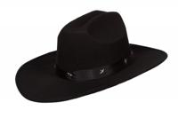 Cowboy studs - thumbnail