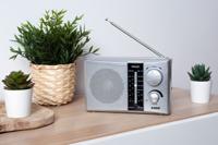 Radio ELBE PR451 - thumbnail