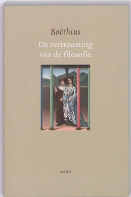 De vertroosting van de filosofie (Paperback)