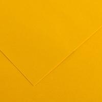 Fiches Iris Gualda Geel - thumbnail