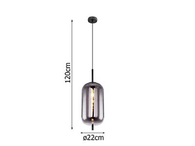 Globo HanglampBlacky zwart 1-lichts - 15345H2
