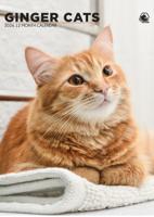 Rode Katten A3 Kalender 2026 - thumbnail