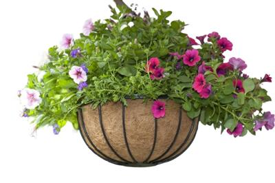 Hanging basket smeedijzer zwart H20x dia. 35cm Nature - Nature