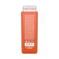 Framesi Morphosis Sun Shampoo 250ml - thumbnail