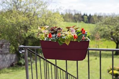 Cavaliere Osaka Jardiniere 19,5 L - EDA - Bordeauxrood - voor balkons en balustrades Cavaliere Osaka Jardiniere 19,5 L - EDA - Bordeauxrood - voor balkons en balustrades