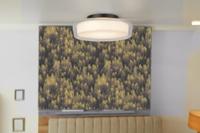 Searchlight Badkamer plafondlampPuck - 60961BK - thumbnail