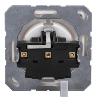 Jung CD1520KIWW Wandcontactdoos met randaarde Inzetstuk 1-voudig Alpine-wit 1 stuk(s)