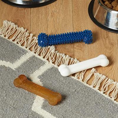 Nylabone puppy chew puppy starter kit chicken