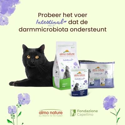 Almo Nature Functional sensitive met vis - natvoer voor volwassen katten met gevoelige en prikkelbare darmproblemen - 70 g - thumbnail