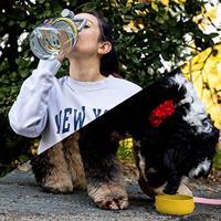 Asobu The Barkley Tritanfles - thumbnail