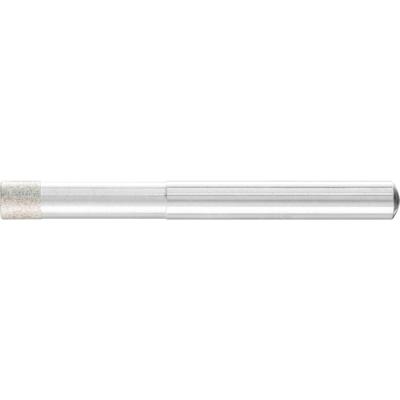 PFERD TOOLS 36006009 Schuurpen Diameter 6 mm 1 stuk(s) PFERD TOOLS 36006009 Schuurpen Diameter 6 mm 1 stuk(s)