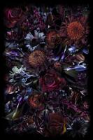 Moooi Carpets - Fool's Paradise - 200x300 cm Vloerkleed - thumbnail