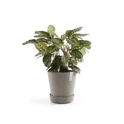 Ecopots Plantenschotel met Wielen Taupe Ø41,6cm Ecopots Plantenschotel met Wielen Taupe Ø41,6cm