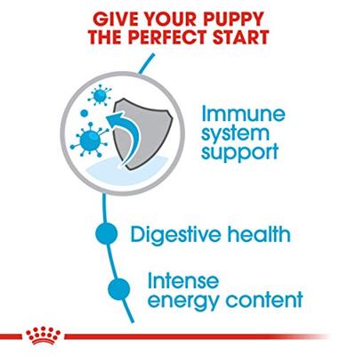 Royal Canin mini voer voor puppy 4kg - thumbnail