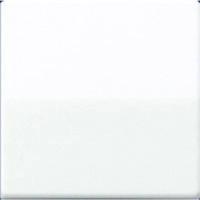 Jung schakelwip alpine wit glans AS591WW - thumbnail