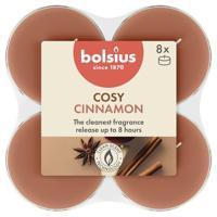 Maxilichten clear cup True Scents Apple Cinnamon 8u Bolsius - Bolsius - thumbnail