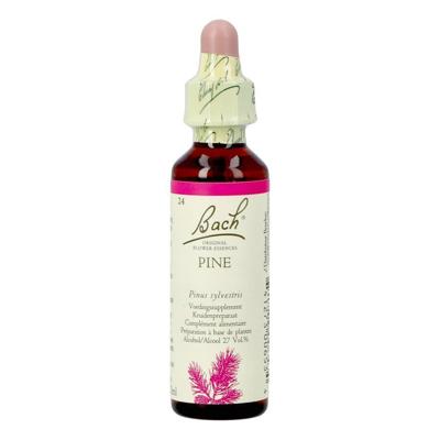 Bach Flower Remedie 24 Pine 20ml