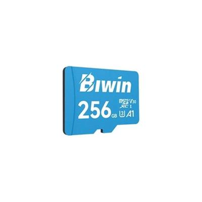 Geheugenkaart Micro SDXC Biwin MS100 256 GB
