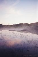 Cinestill 400 Daylight C-41 135/36 - thumbnail