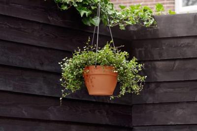 Elho Vibia Campana hangschaal 26 cm terra - thumbnail