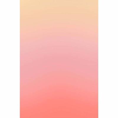 Bresser Achtergronddoek van 100% Katoen - 80x120cm - Coral Gradiënt