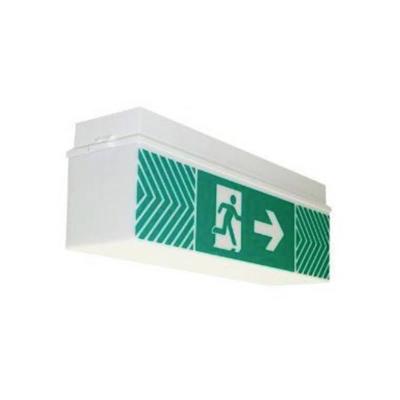 Brumberg 79031004 Vluchtwegverlichting Wandmontage, Plafondmontage Rechts Brumberg 79031004 Vluchtwegverlichting Wandmontage, Plafondmontage Rechts