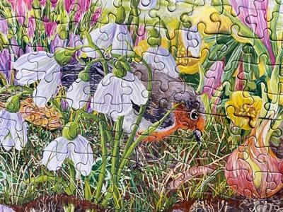Roots and Shoots Puzzel 4x 500 Stukjes