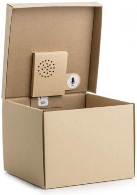 Cadeauverpakking Met Recorder