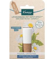 Kneipp Repair & Prevent Lippenbalsem - thumbnail