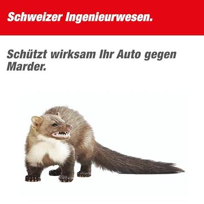 Swissinno Ultraschall Marder-Stop für KFZ 12DC Marterverschrikker Functies: Afschrikking, Ultrasoon 1 stuk(s) - thumbnail