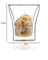 Glazenset Bodum Transparant (2 Stuks) - thumbnail