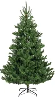 Alba fir kunstkerstboom dia. 127-H210 cm groen Everlands - Everlands - thumbnail