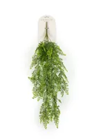 Venushaarvaren hangend l27cm groen - thumbnail