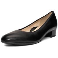 Ara 1226852 - alle - thumbnail