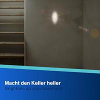REV Ovalarmatur LED 5,5W grau Lamp voor vochtige ruimte LED 5.5 W Daglichtwit - thumbnail