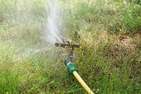 Meister Impulssproeier Met Pin Messing - FLOR89575 - thumbnail