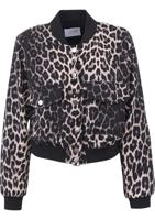 Sisters Point Jasje Garwin Leo - thumbnail