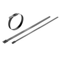 Weidmüller 1015250000 SCT-C 4.6/200 Kabelbinder 200 mm 4.6 mm Zilver Met coating 100 stuk(s) - thumbnail